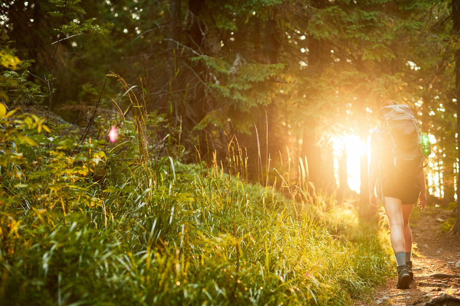 Leave nature as you found it: 7 principles of the "Leave No Trace" initiative
